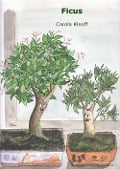Cover-Bild zum Titel 'Ficus' von 'Carola Kleoff'