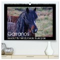 Garranos - Bedrohte Wildpferde Europas (hochwertiger Premium Wandkalender 2025 DIN A2 quer), Kunstdruck in Hochglanz - Sabine Bengtsson/Www. Perlenfaenger. Com