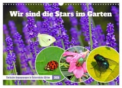 Wir sind die Stars im Garten (Wandkalender 2026 DIN A3 quer), CALVENDO Monatskalender - Christa Kramer