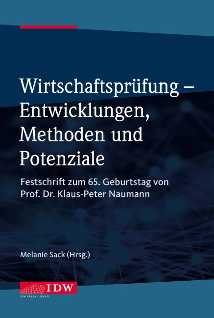 Wirtschaftsprüfung - Entwicklungen, Methoden und Potenziale - 