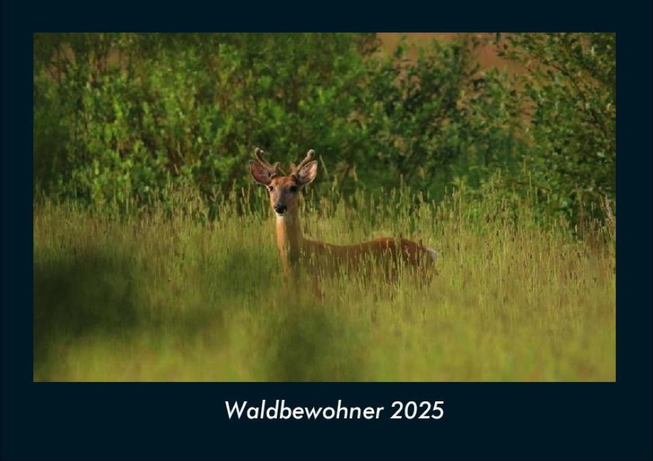 Waldbewohner 2025 Fotokalender DIN A4 - Tobias Becker