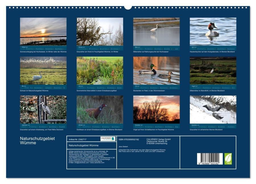 InsideView 5