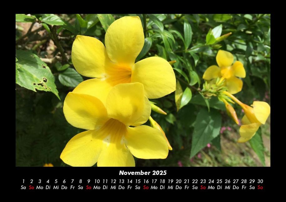 InsideView 3
