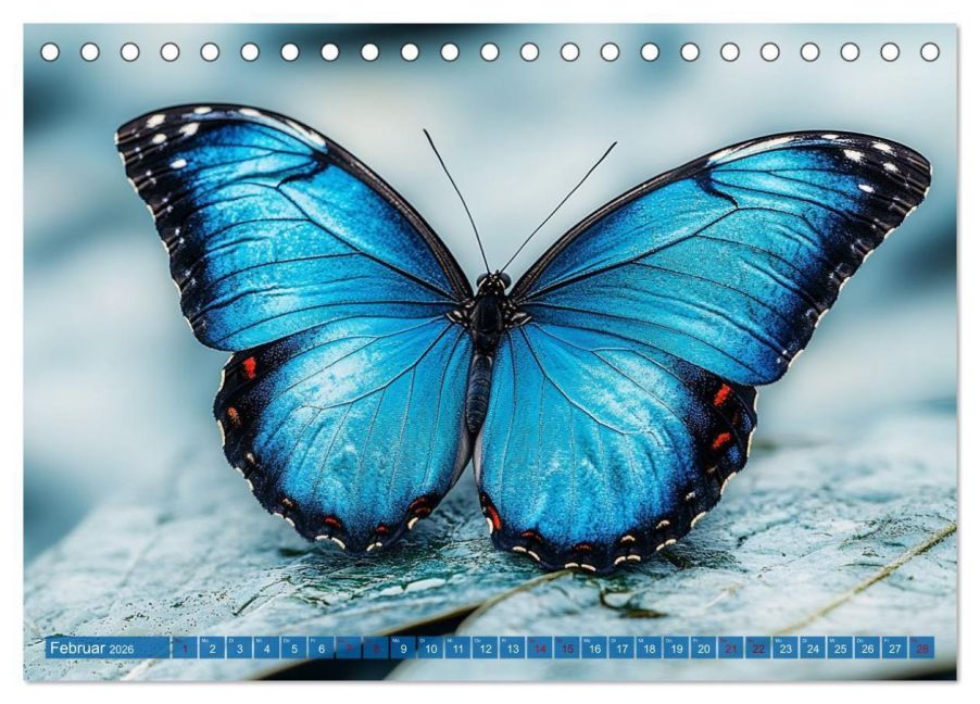 InsideView 7
