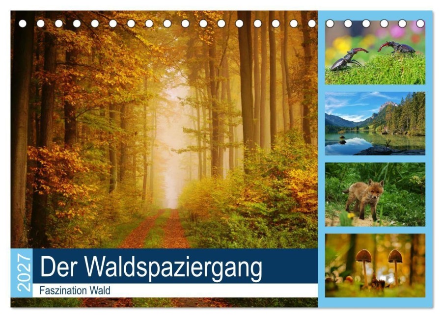 Der Waldspaziergang (Tischkalender 2027 DIN A5 quer), CALVENDO Monatskalender - Lutz Klapp