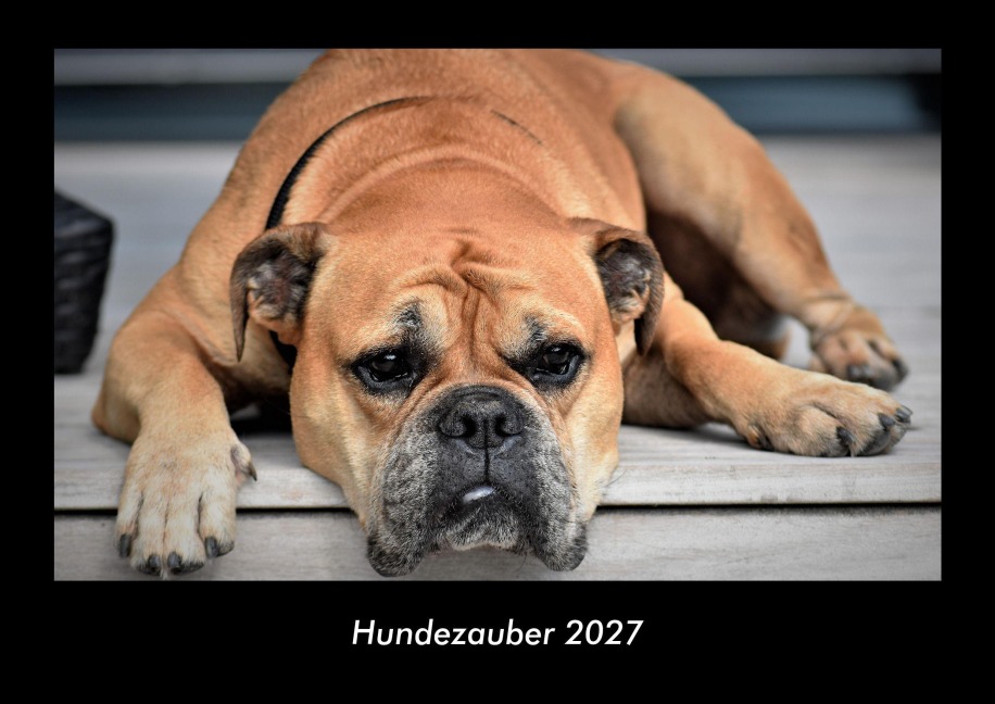 Hundezauber 2027 Fotokalender DIN A3 - Tobias Becker