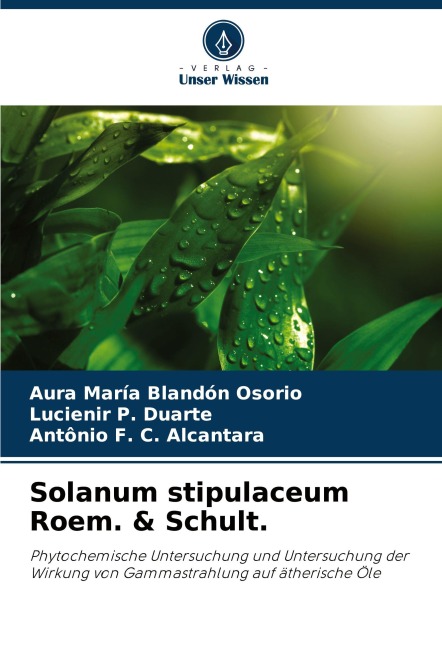 Solanum stipulaceum Roem. & Schult. - Aura María Blandón Osorio, Lucienir P. Duarte, Antônio F. C. Alcantara