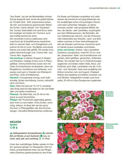 InsideView 14