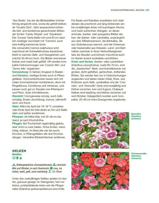 InsideView 14