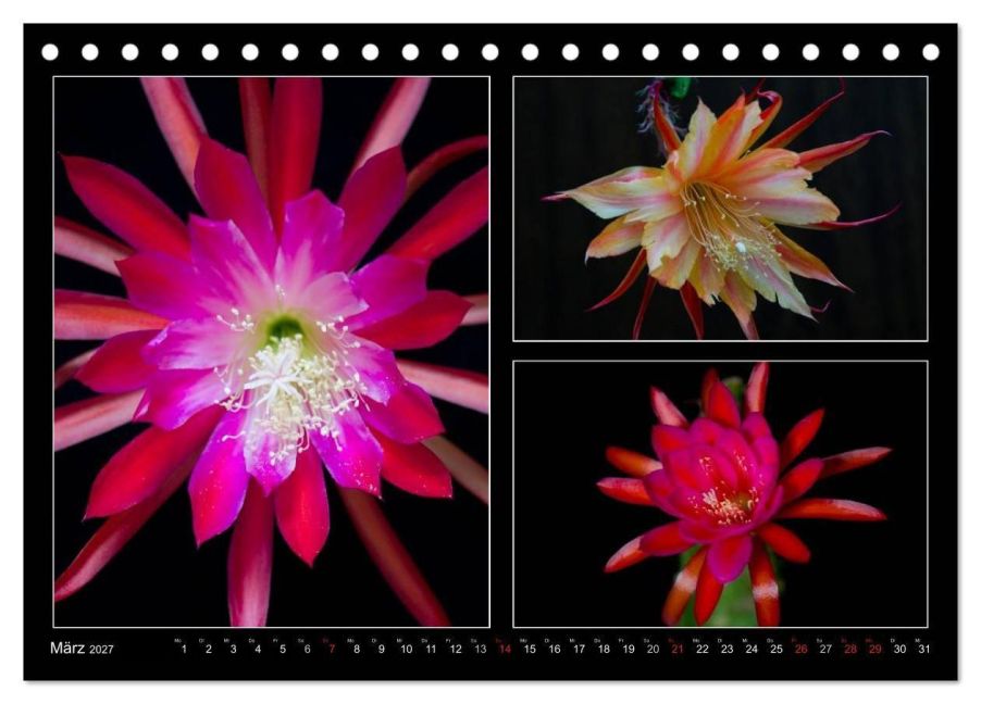 InsideView 8