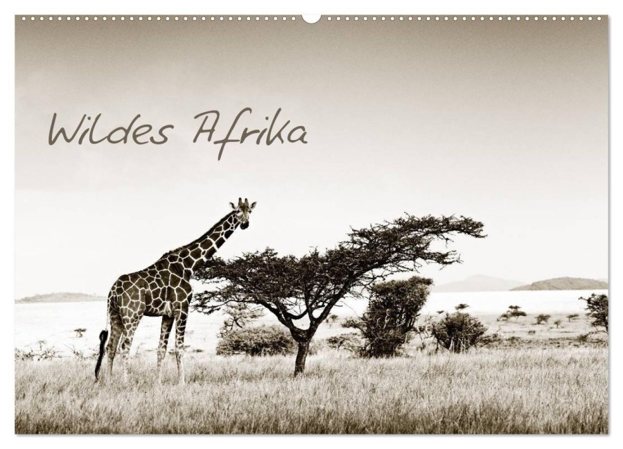 Wildes Afrika (Wandkalender 2027 DIN A2 quer), CALVENDO Monatskalender - Klaus Tiedge - Wanyamacollection