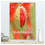 Mohnblumen-ein Traum in rot (hochwertiger Premium Wandkalender 2025 DIN A2 hoch), Kunstdruck in Hochglanz - SchnelleWelten SchnelleWelten