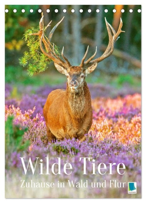 Wilde Tiere: Zuhause in Wald und Flur (Tischkalender 2026 DIN A5 hoch), CALVENDO Monatskalender - Calvendo Calvendo