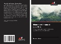 Cover-Bild zum Titel 'Bilancio dell'acqua di superficie' von 'Brayan Haro'