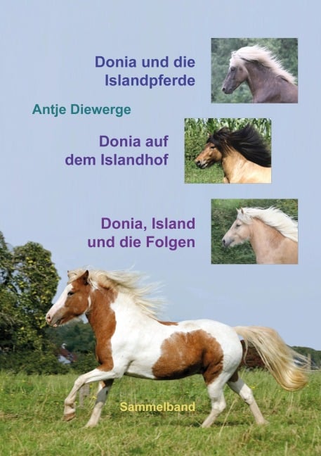 Donia und die Islandpferde - Antje Diewerge