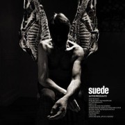 Cover-Bild zum Titel 'Antidepressants (Deluxe)' von 'Suede'
