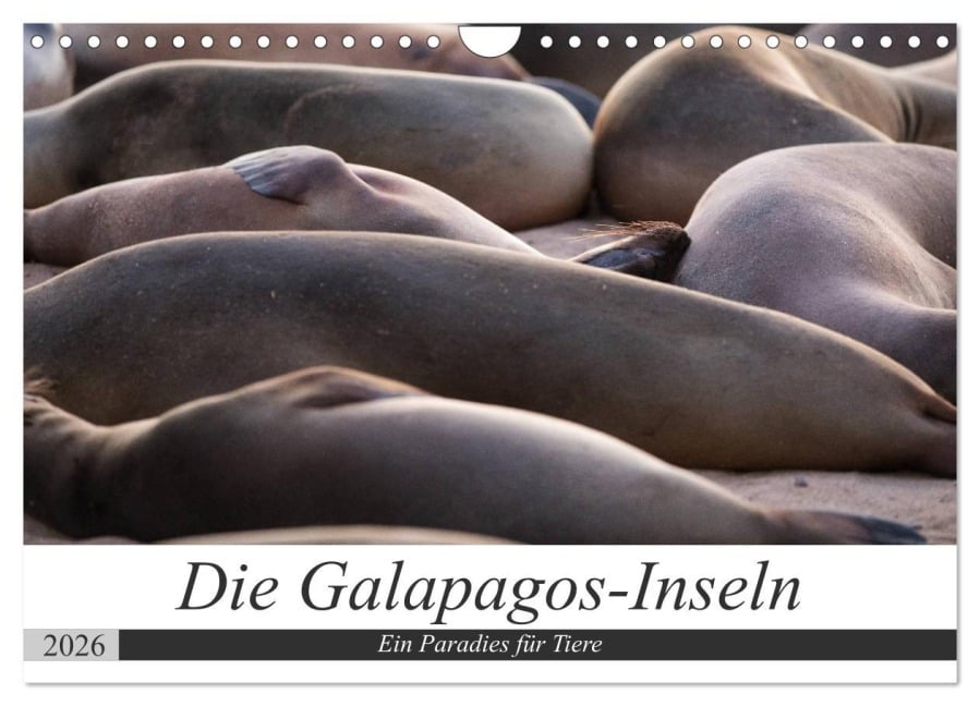 Galapagos-Inseln - Ein Paradies für Tiere (Wandkalender 2026 DIN A4 quer), CALVENDO Monatskalender - Jeanette Dobrindt