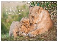 Emotionale Momente: Liebenswerte Löwenbabys / CH-Version (Wandkalender 2025 DIN A4 quer), CALVENDO Monatskalender - Ingo Gerlach GDT