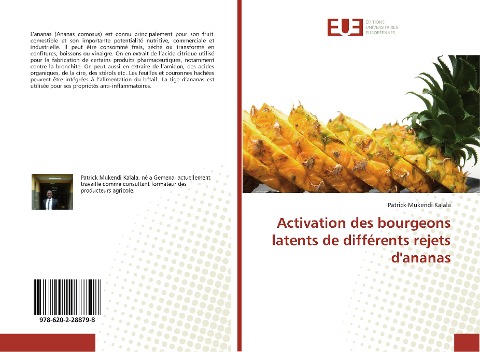Activation des bourgeons latents de différents rejets d'ananas - Patrick Mukendi Kalala