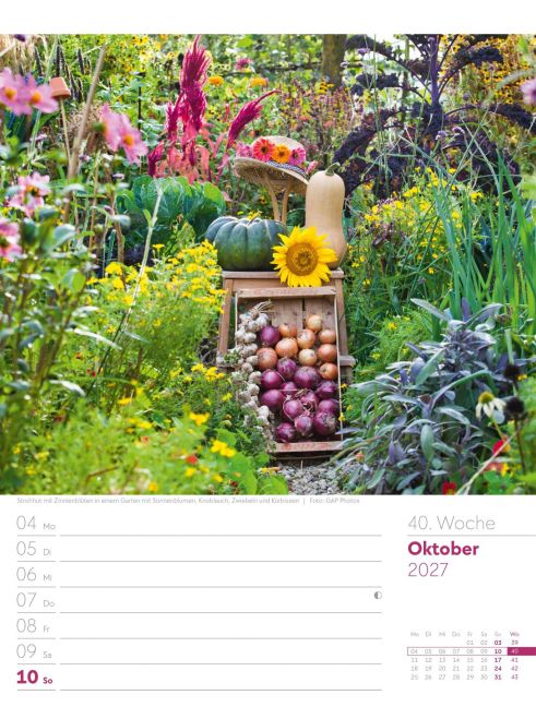 InsideView 44