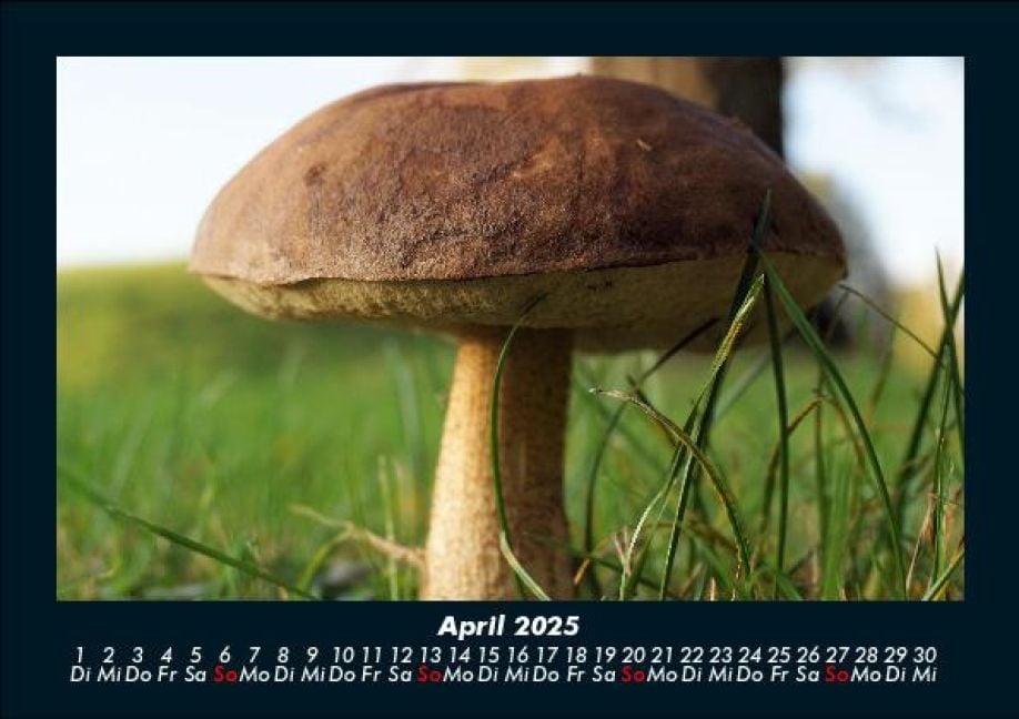 InsideView 8