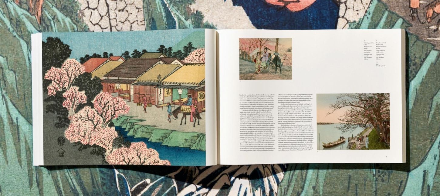 InsideView 14
