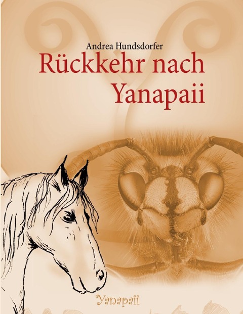 Rückkehr nach Yanapaii - Andrea Hundsdorfer