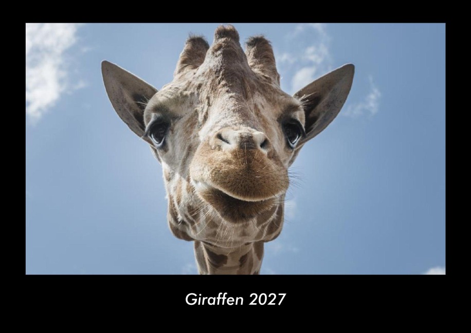 Giraffen 2027 Fotokalender DIN A3 - Tobias Becker