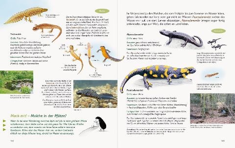InsideView 16