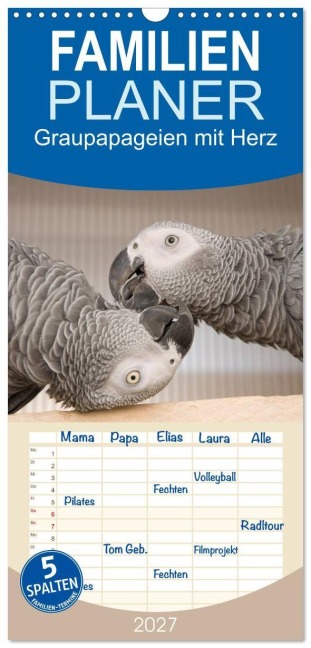 Familienplaner 2027 - Graupapageien mit Herz mit 5 Spalten (Wandkalender, 21 x 45 cm) CALVENDO - Nadine Keller