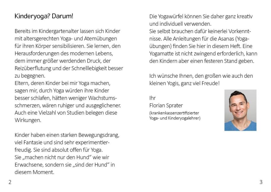 InsideView 2