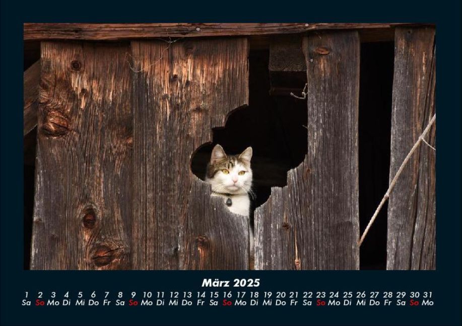 InsideView 7