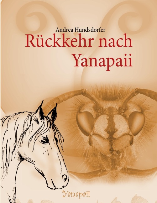 Rückkehr nach Yanapaii - Andrea Hundsdorfer