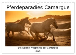 Cover-Bild zum Titel 'Pferdeparadies Camargue (Wandkalender 2026 DIN A3 quer), CALVENDO Monatskalender' von 'Nicola Kassat'