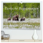 Cover-Bild zum Titel 'Tierische Begegnungen (hochwertiger Premium Wandkalender 2027 DIN A2 quer), Kunstdruck in Hochglanz' von 'Daniela Beyer (Moqui)'