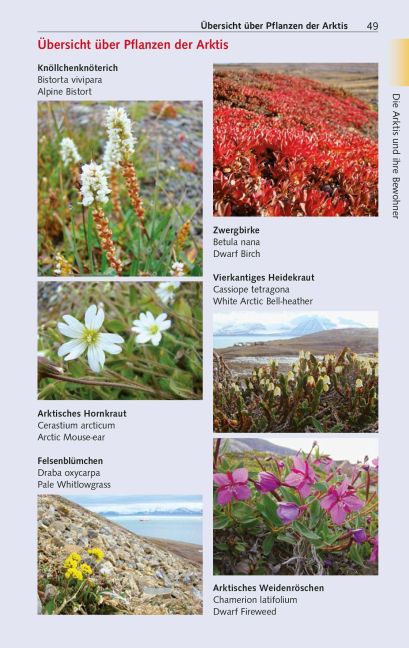 InsideView 17