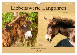 Cover-Bild zum Titel 'Liebenswerte Langohren - Die Schönheit der Esel (Wandkalender 2026 DIN A4 quer), CALVENDO Monatskalender' von 'Meike Bölts'