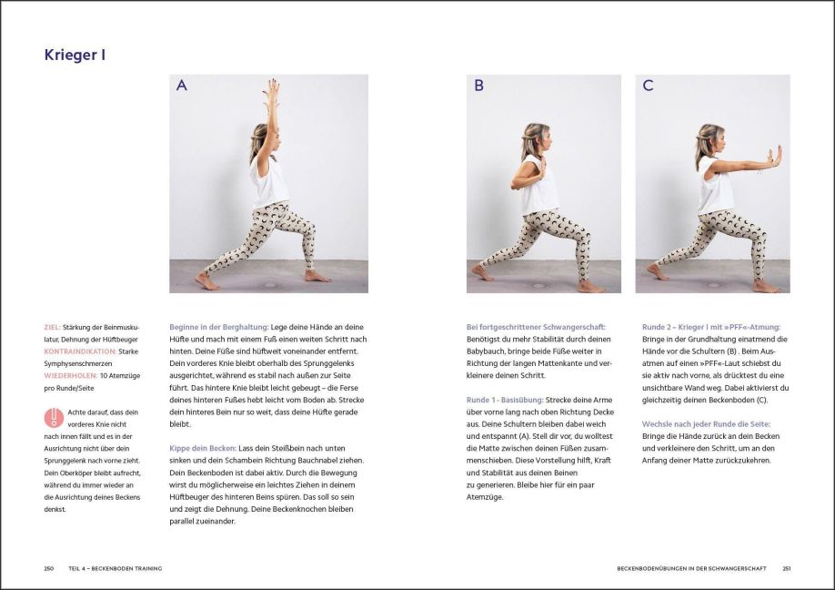 InsideView 12