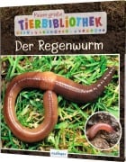 Cover-Bild zum Titel 'Meine große Tierbibliothek: Der Regenwurm' von 'Valérie Tracqui'