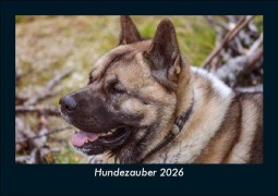Cover-Bild zum Titel 'Hundezauber 2026 Fotokalender DIN A5' von 'Tobias Becker'