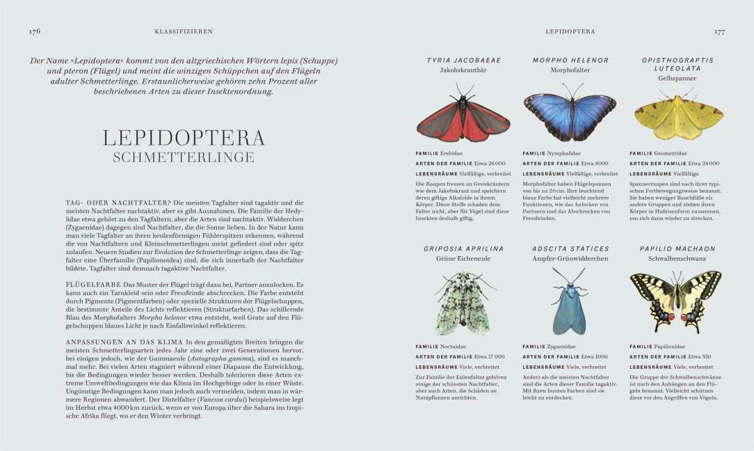 InsideView 5