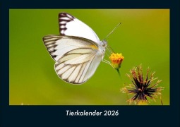 Cover-Bild zum Titel 'Tierkalender 2026 Fotokalender DIN A4' von 'Tobias Becker'