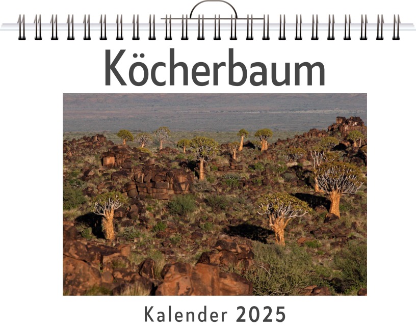 Köcherbaum - Oliver Schäfer