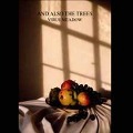 Cover-Bild zum Titel 'VIRUS MEADOW (Reissue)' von 'And Also The Trees'