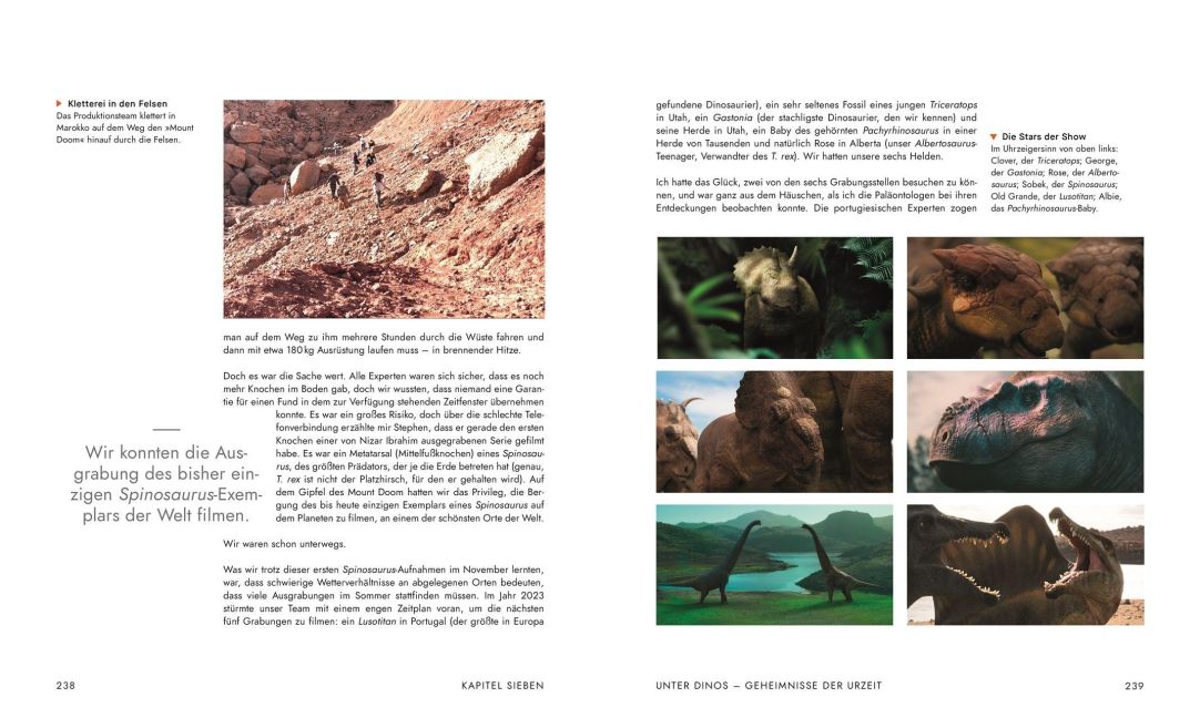 InsideView 8