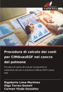 Cover-Bild zum Titel 'Procedura di calcolo dei costi per CIMAvaxEGF nel cancro del polmone' von 'Rigoberto Lima-Martínez, Olga Torres-Gemeil, Carmen Viada-González'