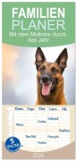 Familienplaner 2026 - Mit dem Malinois durch das Jahr mit 5 Spalten (Wandkalender, 21 x 45 cm) CALVENDO - Martina Wrede - Wredefotografie