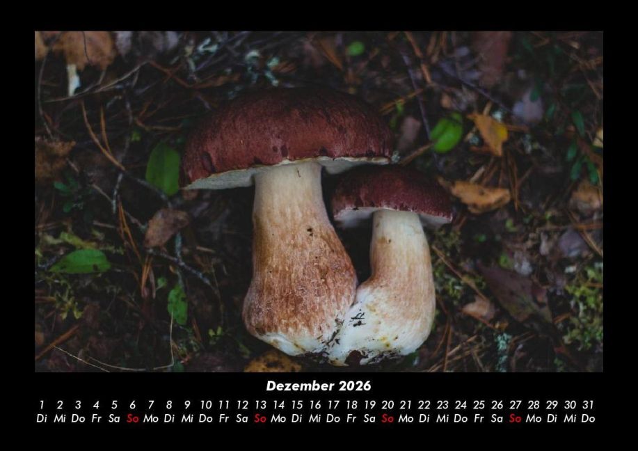 InsideView 4