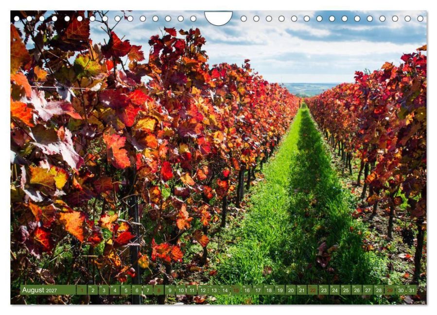 InsideView 13