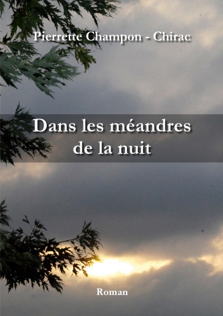 Dans les méandres de la nuit - Pierrette Champon - Chirac